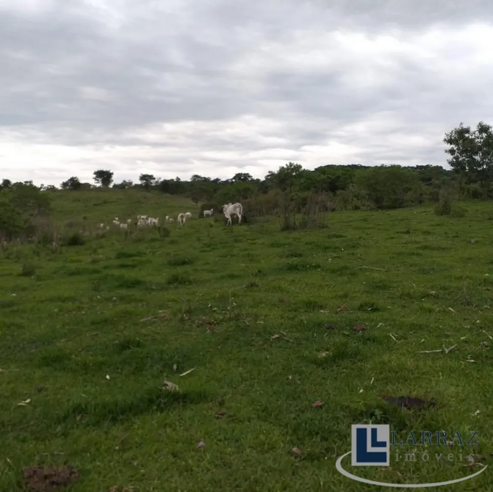 Fazenda, 73 m² - Foto 4