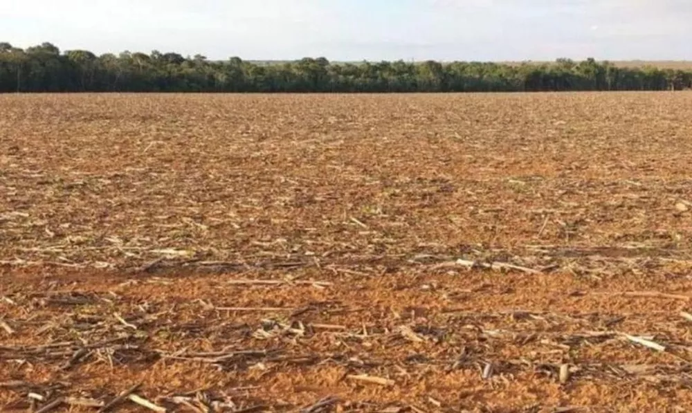 Fazenda, 2 hectares - Foto 3