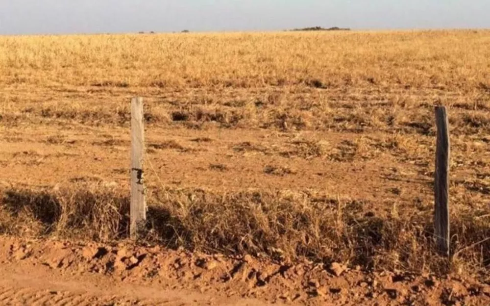 Fazenda, 2 hectares - Foto 2