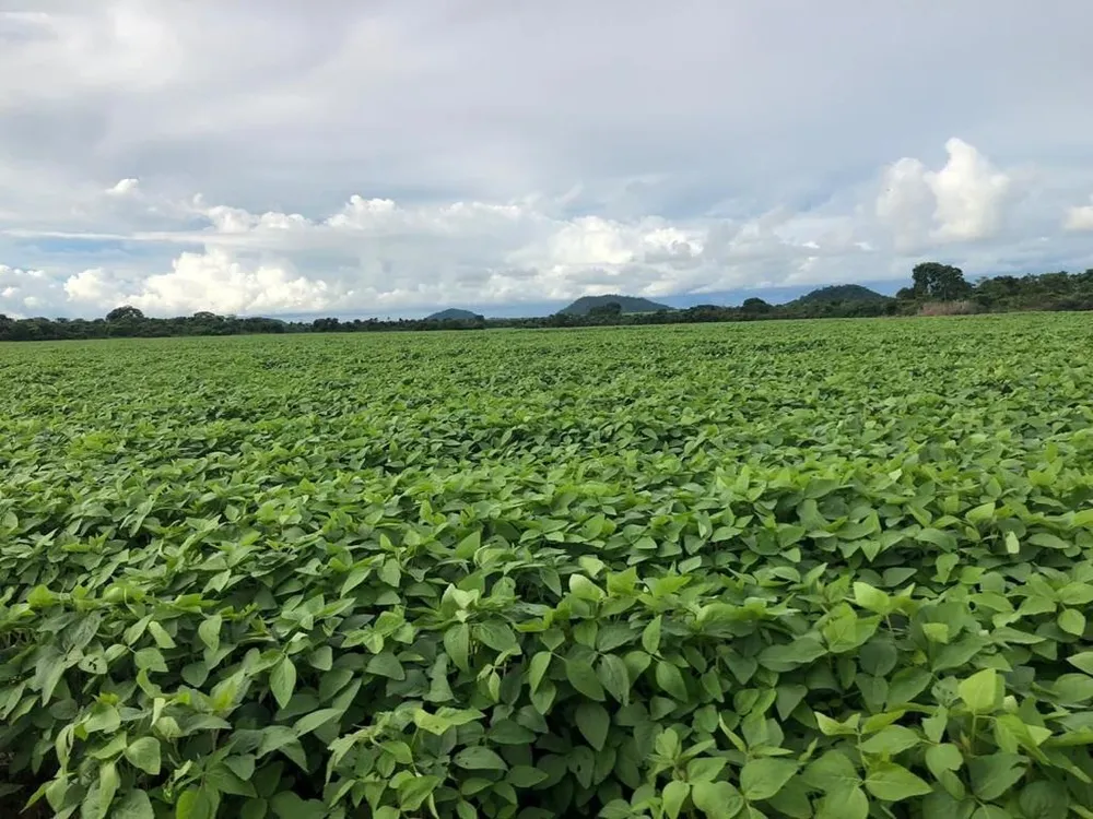 Fazenda, 2 hectares - Foto 4