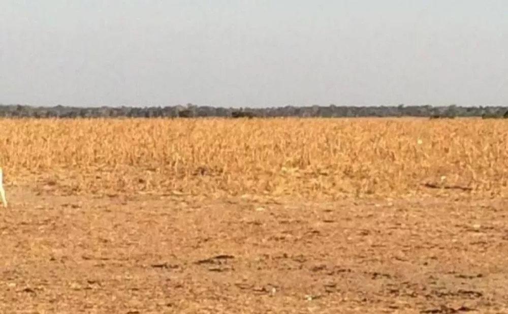 Fazenda, 2 hectares - Foto 1