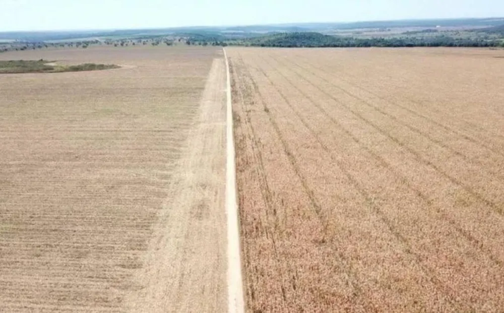 Fazenda, 2 hectares - Foto 8
