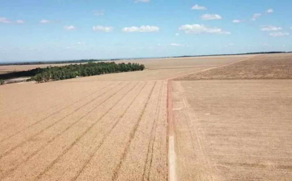 Fazenda, 2 hectares - Foto 4