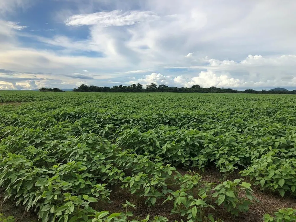 Fazenda, 2 hectares - Foto 9