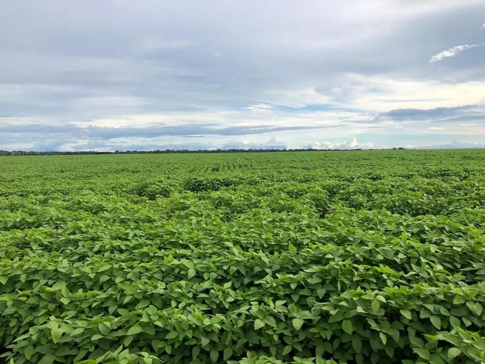 Fazenda, 2 hectares - Foto 1