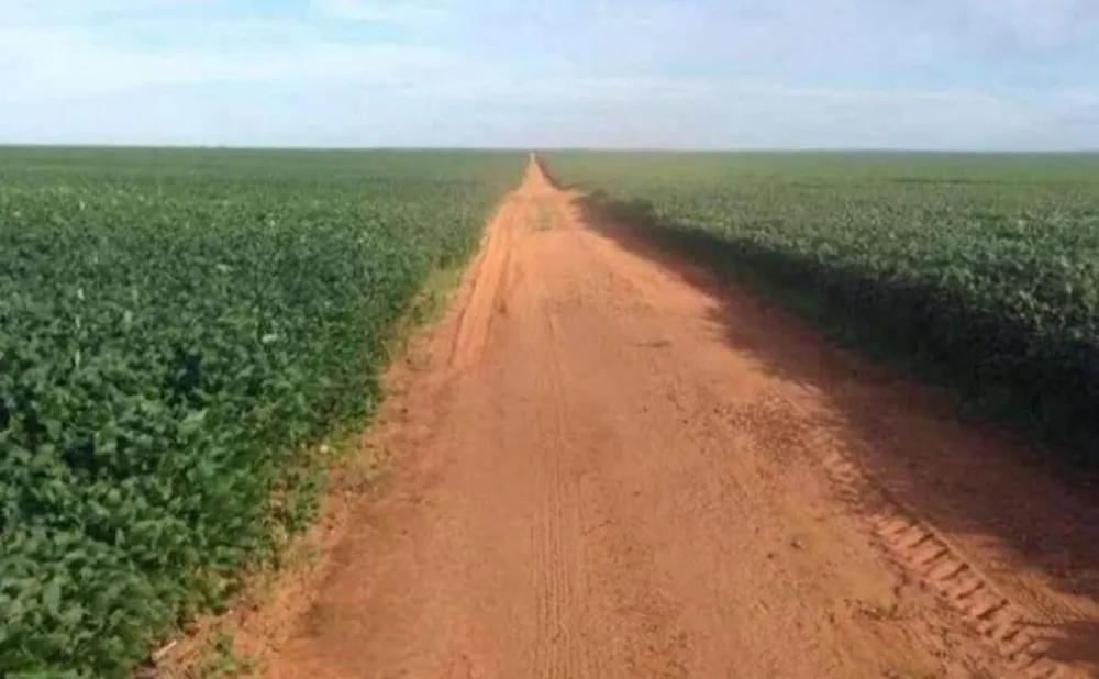 Fazenda, 2 hectares - Foto 6