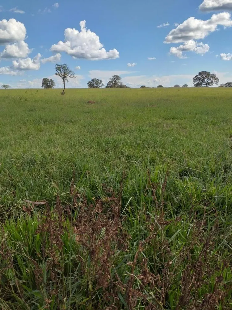 Fazenda, 410 m² - Foto 4