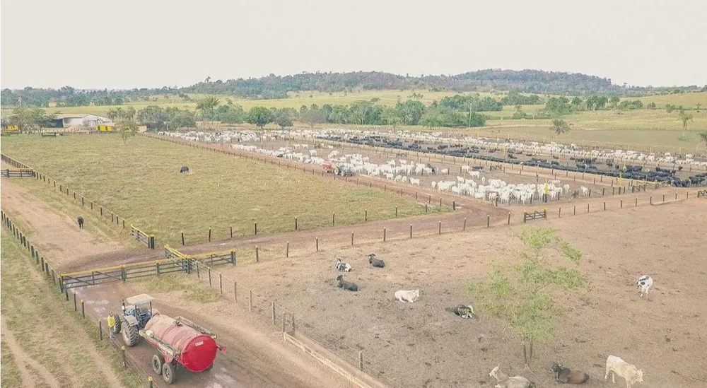 Fazenda, 785 m² - Foto 10