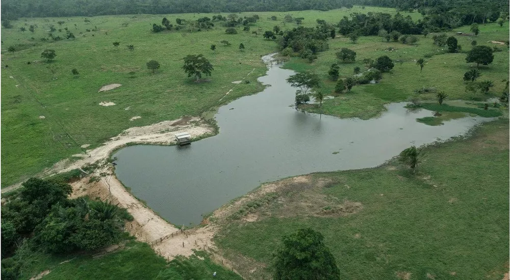 Fazenda, 785 m² - Foto 2