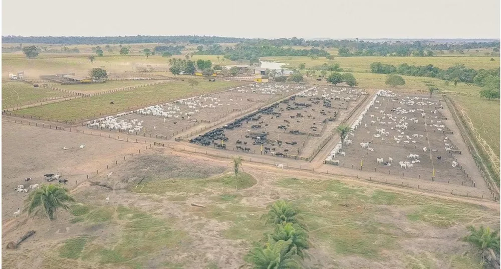 Fazenda, 785 m² - Foto 1