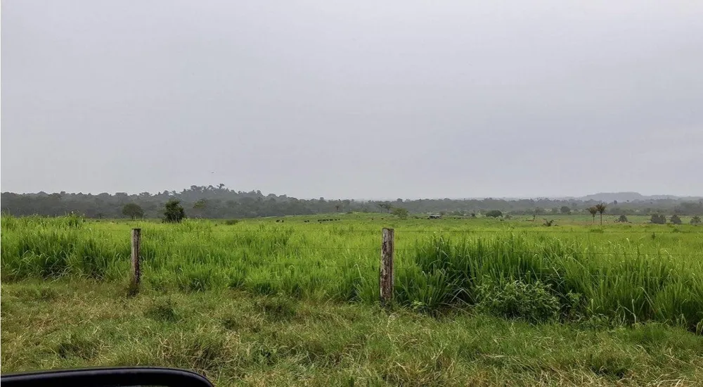 Fazenda, 785 m² - Foto 15