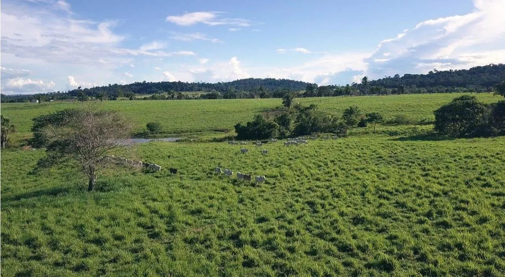 Fazenda, 785 m² - Foto 1