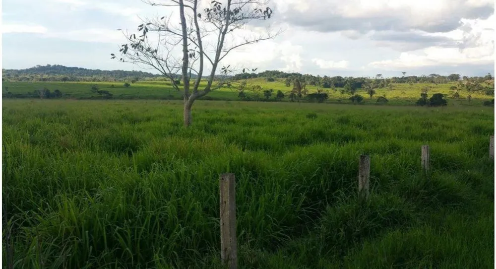 Fazenda, 785 m² - Foto 6