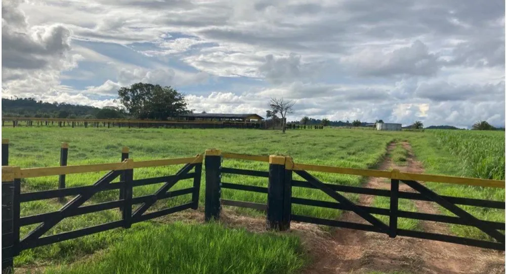 Fazenda, 785 m² - Foto 3
