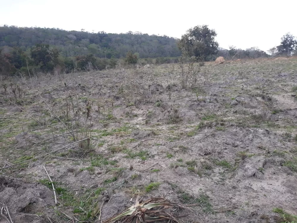 Fazenda, 87 m² - Foto 2
