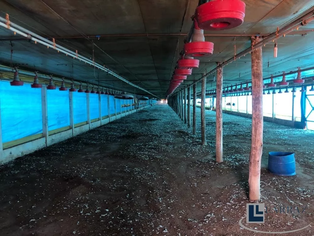 Sítio, 7 m² - Foto 1