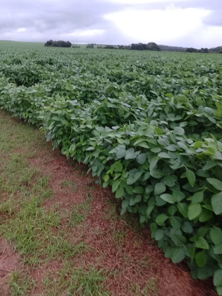Fazenda, 182 m² - Foto 7