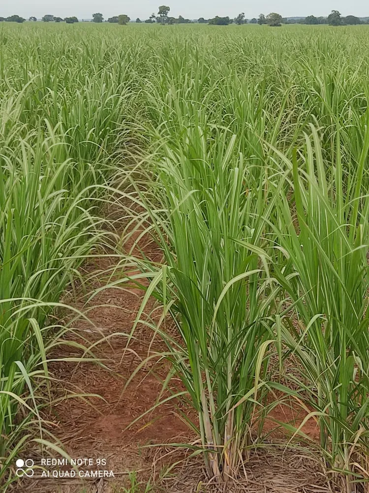 Fazenda, 760 m² - Foto 1