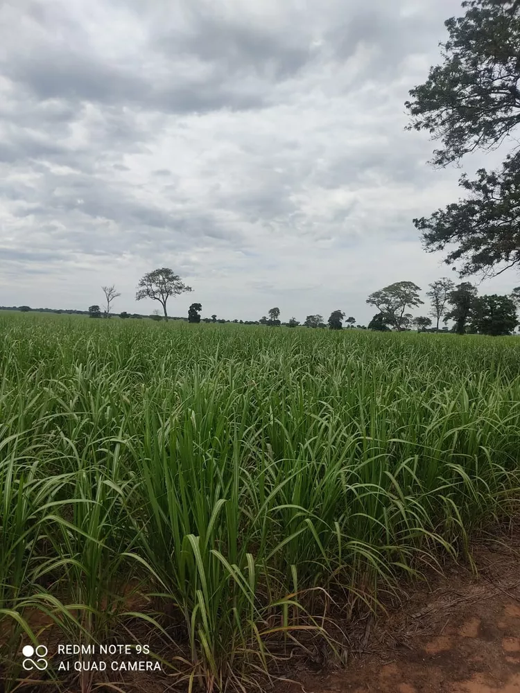 Fazenda, 760 m² - Foto 2