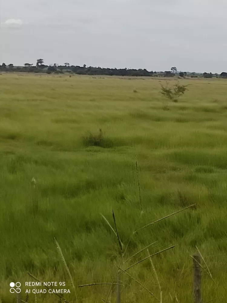 Fazenda, 760 m² - Foto 1