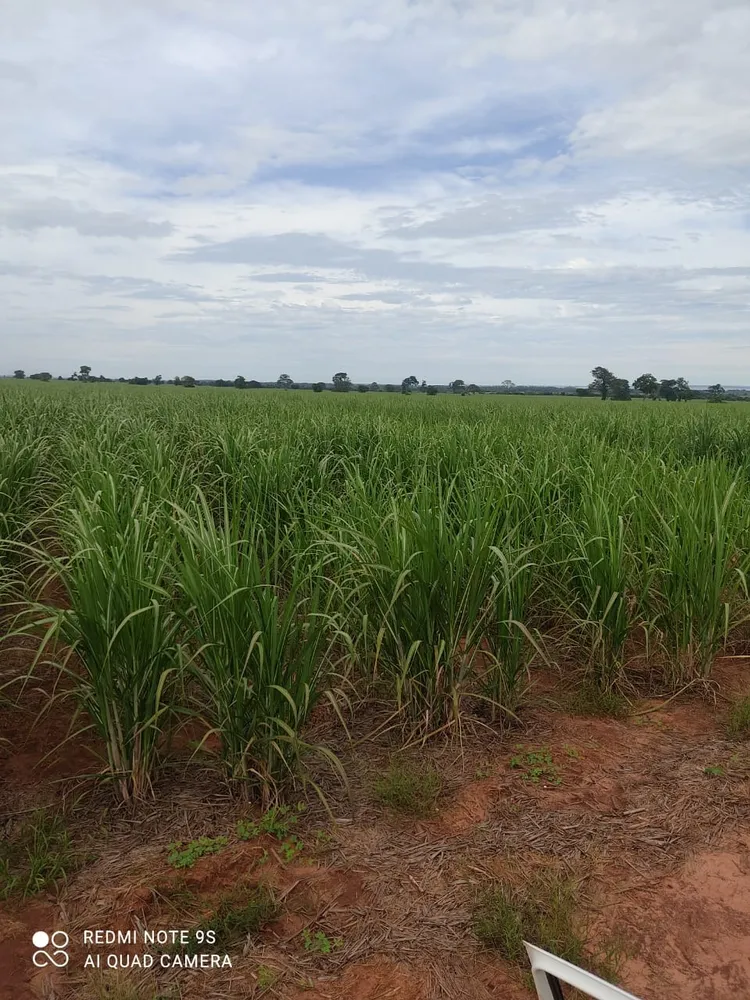 Fazenda, 760 m² - Foto 2