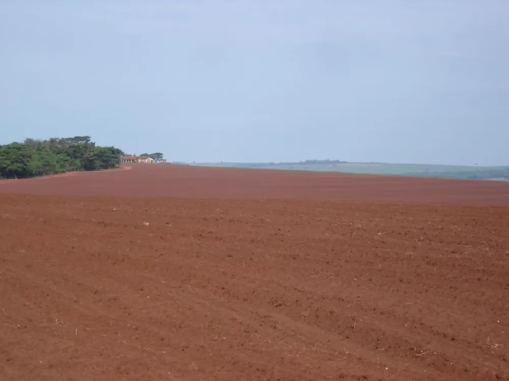 Fazenda, 340 m² - Foto 7
