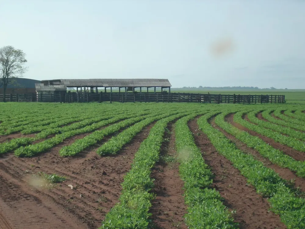Fazenda, 340 m² - Foto 2
