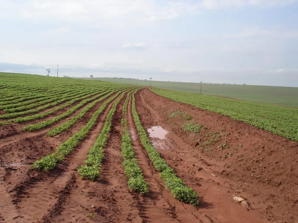 Fazenda, 340 m² - Foto 3