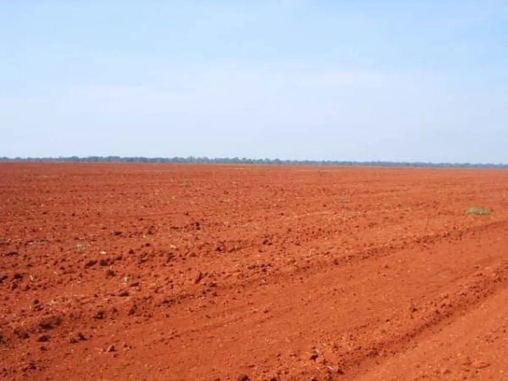 Fazenda, 340 m² - Foto 4
