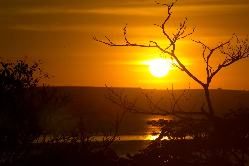 Terreno, 500 m² - Foto 4