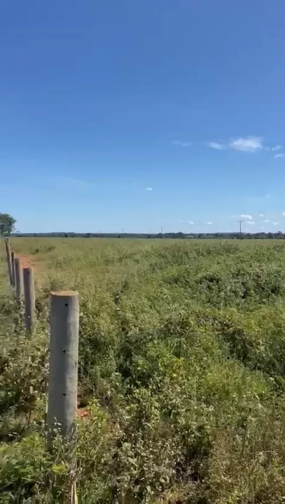 Fazenda, 661 m² - Foto 3