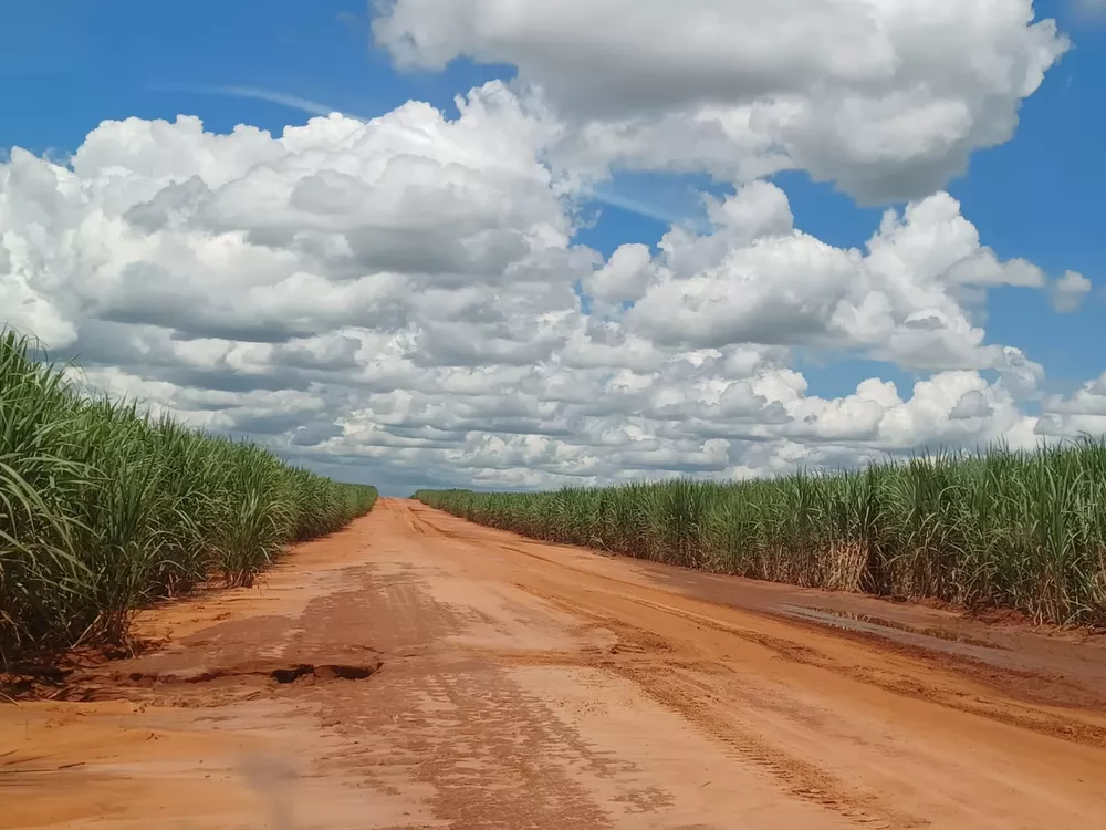 Fazenda, 265 m² - Foto 1