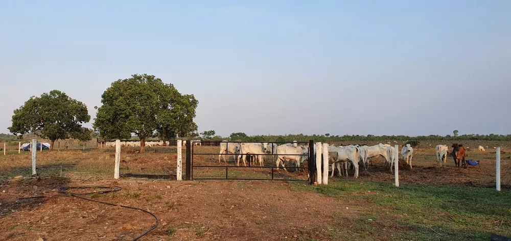Fazenda, 155 m² - Foto 2