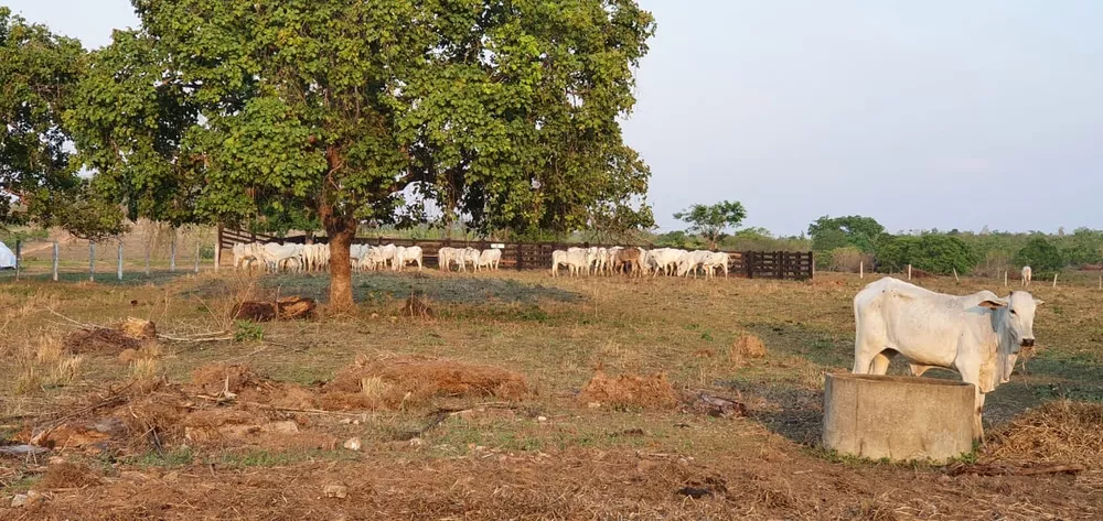Fazenda, 155 m² - Foto 2