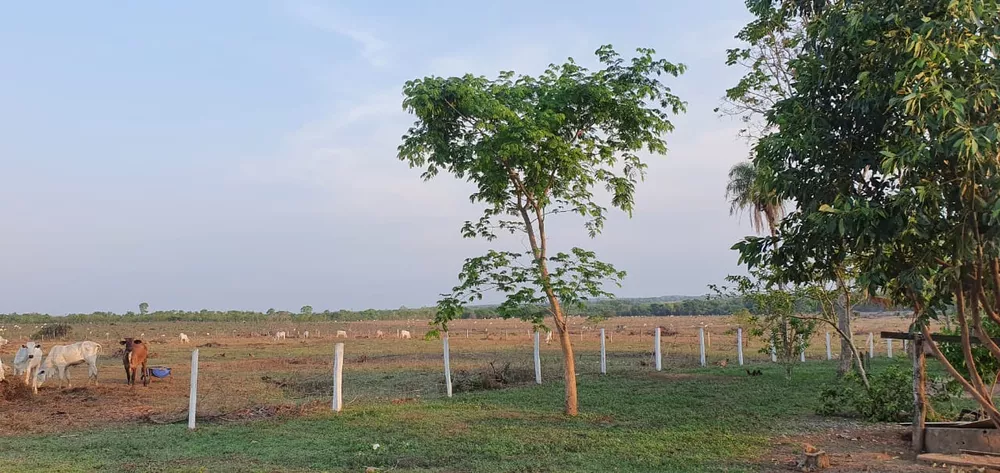 Fazenda, 155 m² - Foto 1