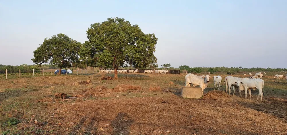 Fazenda, 155 m² - Foto 6