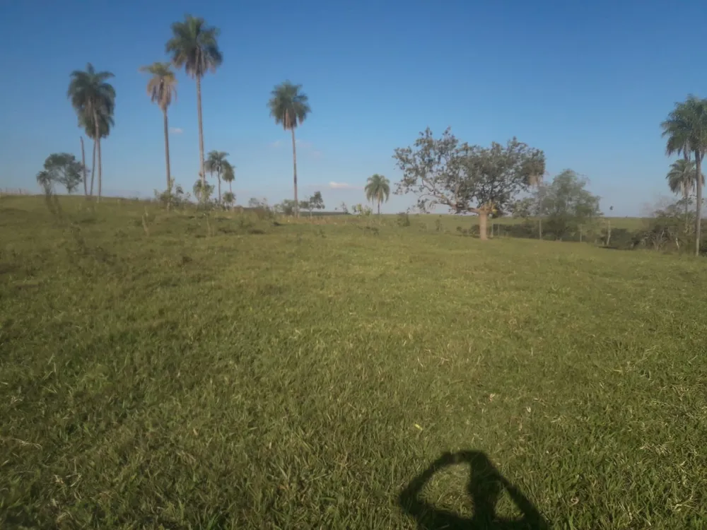 Fazenda, 172 m² - Foto 1