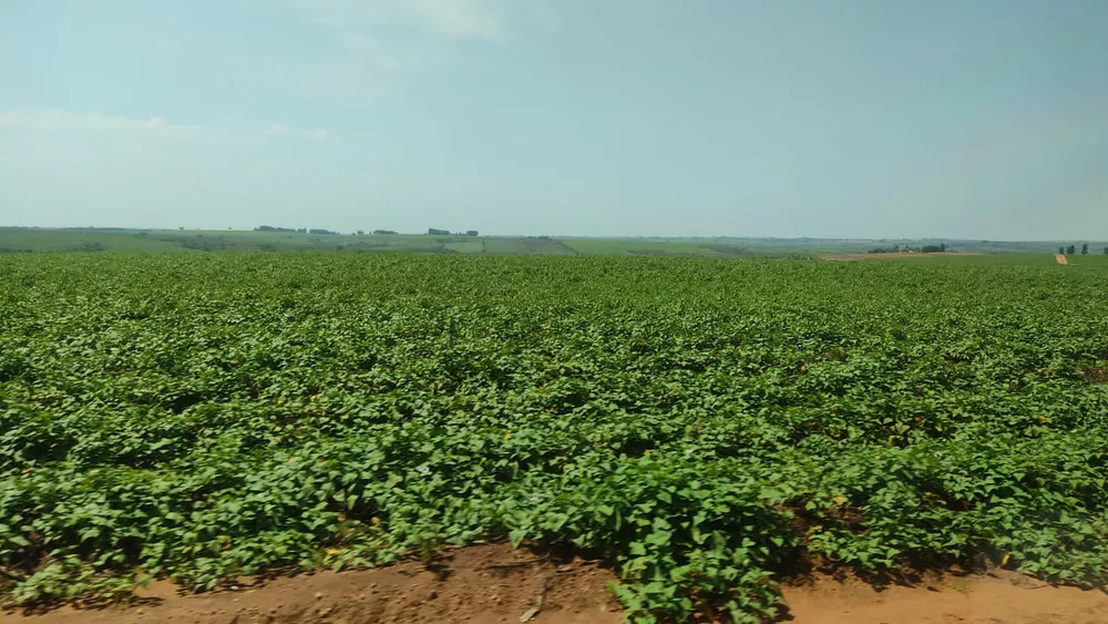 Fazenda, 172 m² - Foto 4