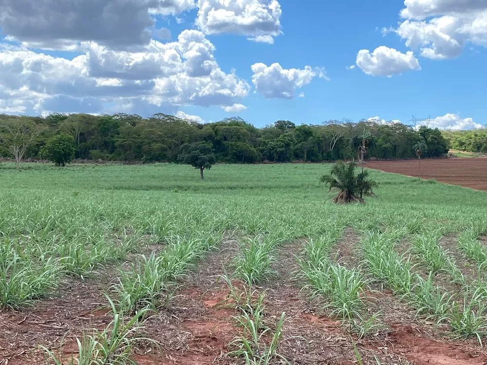 Sítio, 19 m² - Foto 1