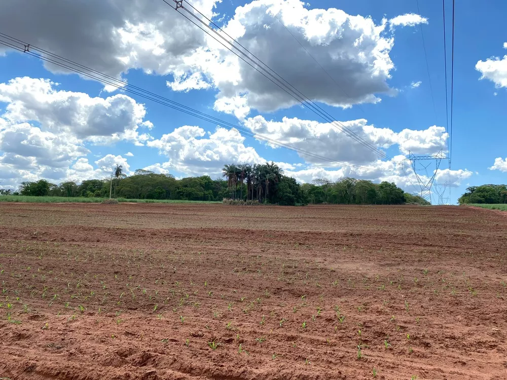 Sítio, 19 m² - Foto 2