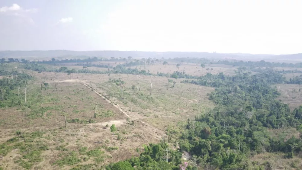 Fazenda, 1632 m² - Foto 1