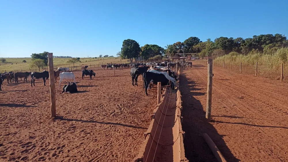 Fazenda, 126 m² - Foto 4