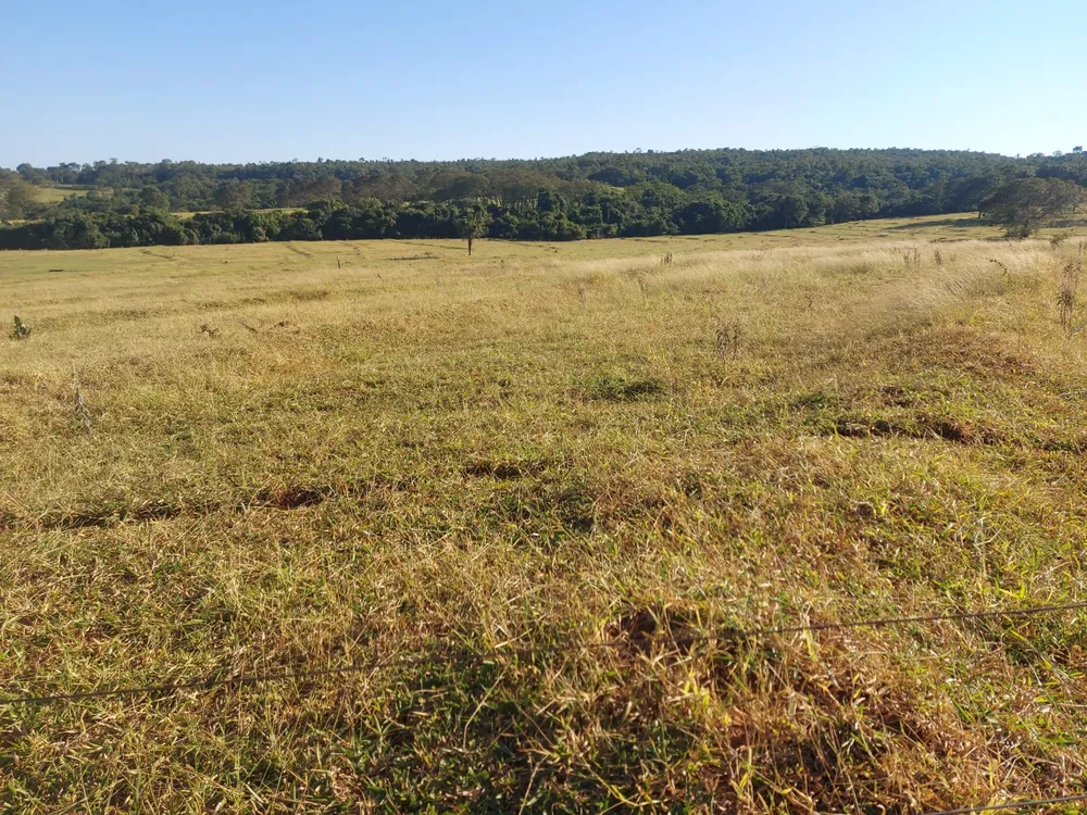 Fazenda, 72 m² - Foto 1