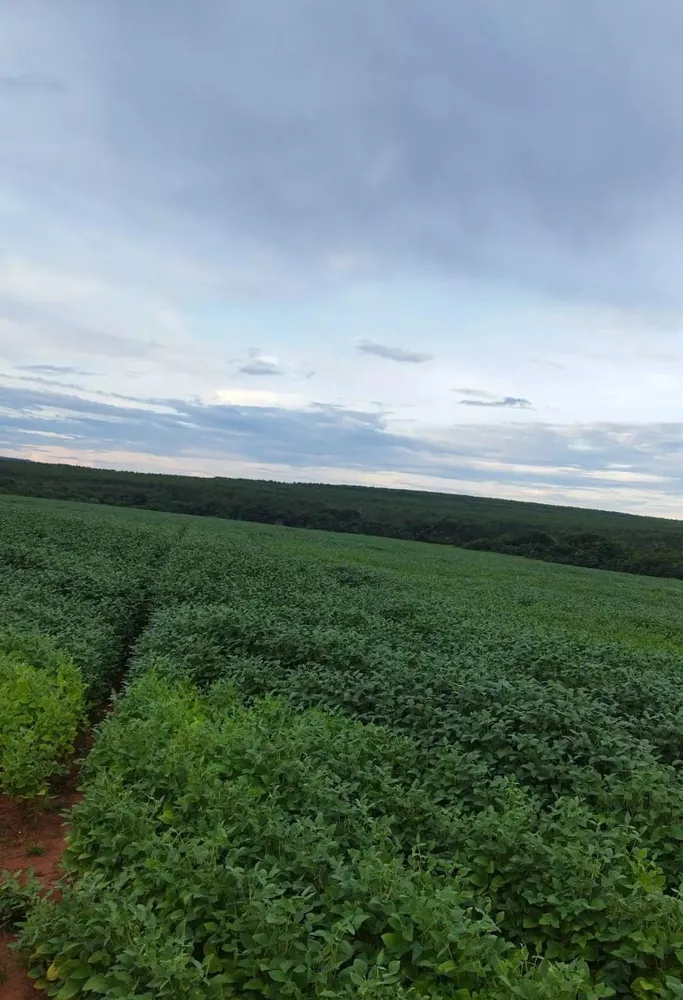 Fazenda, 272 m² - Foto 2