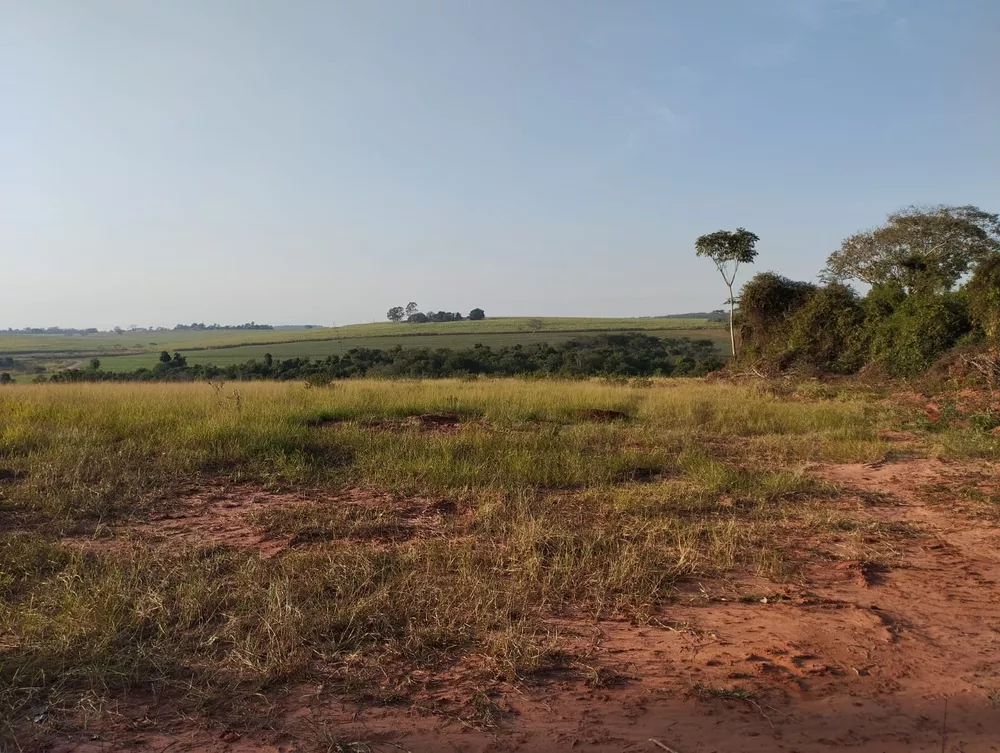 Fazenda, 115 m² - Foto 4