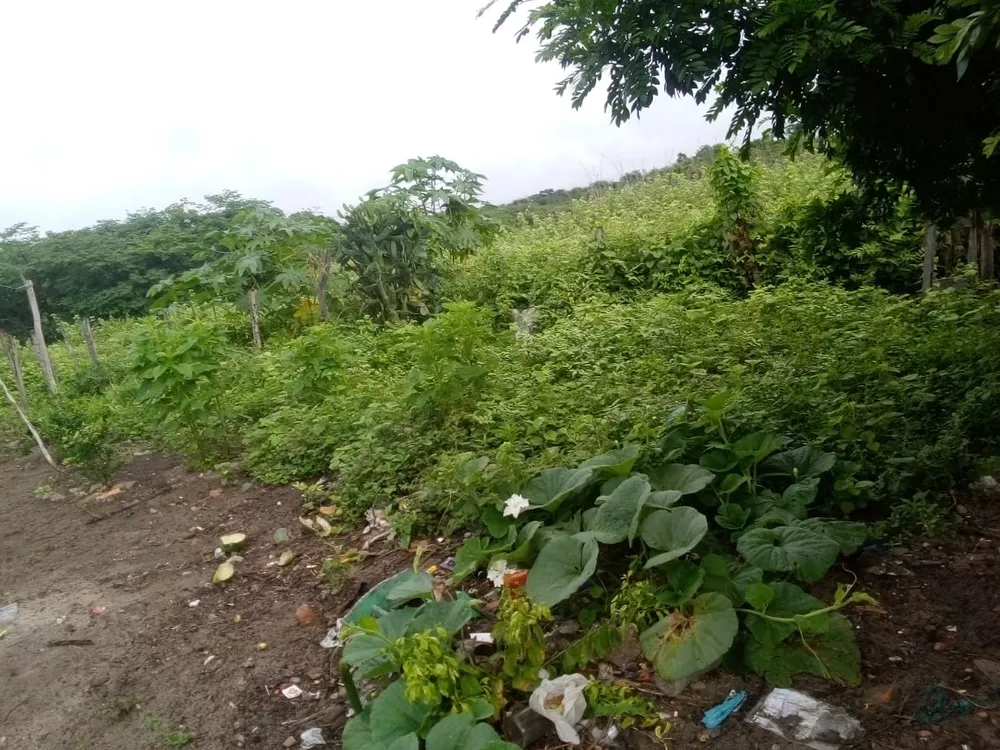 Fazenda, 991 m² - Foto 1