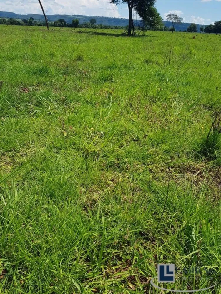 Fazenda, 208 m² - Foto 12