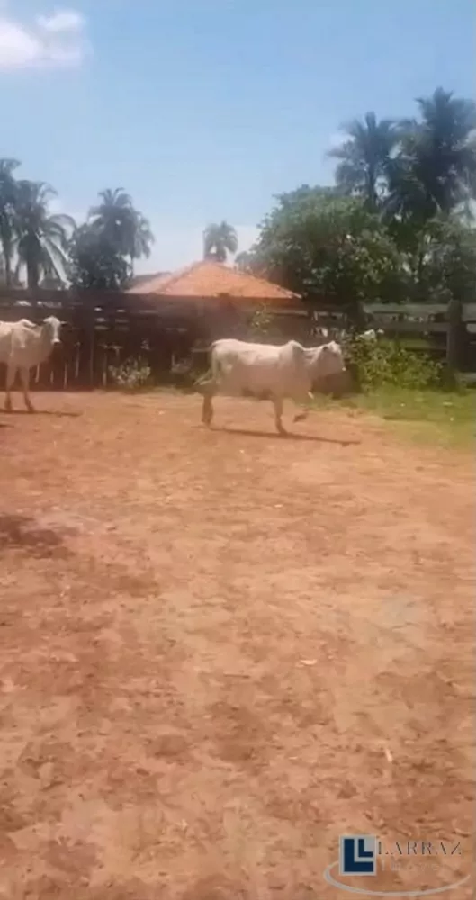 Fazenda, 208 m² - Foto 4