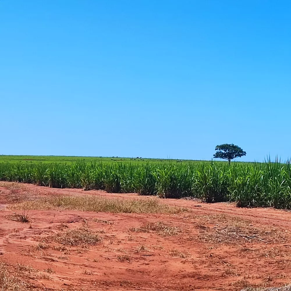 Fazenda, 95 m² - Foto 1