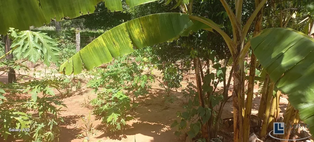 Chácara, 4 quartos, 3000 m² - Foto 11